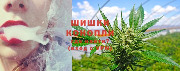 PSILOCYBIN Балабаново